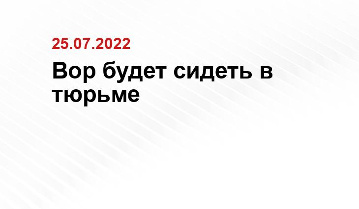 sm-news.ru, gorod48.ru, primecrime.ru, rbc.ru, lenta.ru