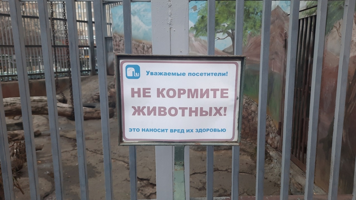 В липецкий зоопарк доставлены детёныши кенгуру ИА SM News Екатеринбург