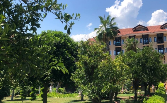 От шума мегаполиса к шепоту сосен: санаторий с неизменной 5 в отзывах — настоящий оазис для отдыха