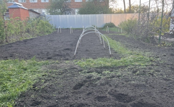 Ваш участок могут забрать: что нельзя игнорировать дачникам в новом сезоне — виноват один сорняк Ваш участок могут забрать: что нельзя игнорировать дачникам в новом сезоне — виноват один сорняк